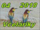 velriky